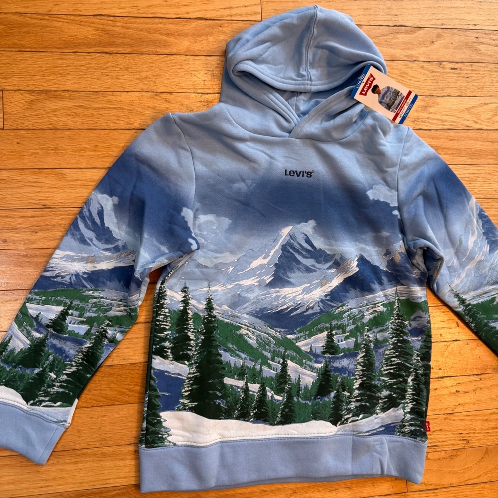 Levisā Boys Placid Blue Mountain Landscape Cottage Graphic Hoodie Size L 10/12